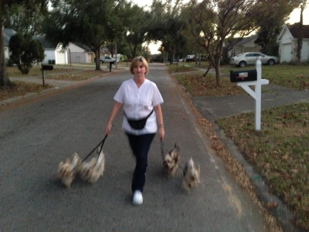 Woman walking three dogs on residential street